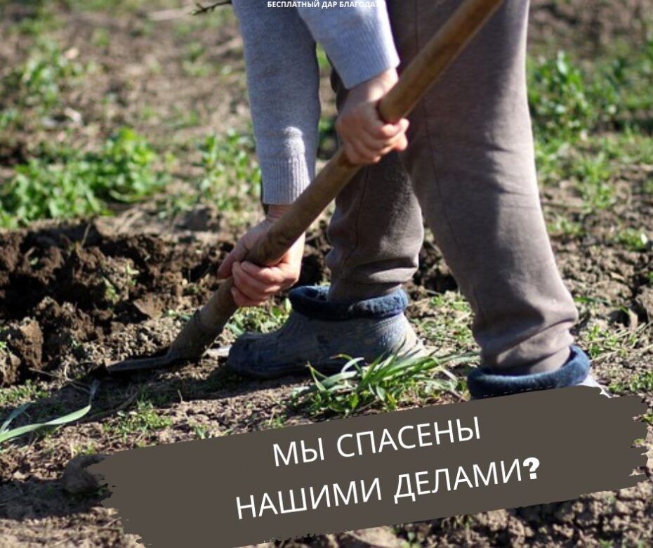 Эфесянам 2 10 опровергает доктрину «Однажды спасён — навеки спасён»?