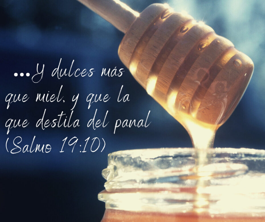 …Y dulces más que miel, y que la que destila del panal (Salmo 19_10)