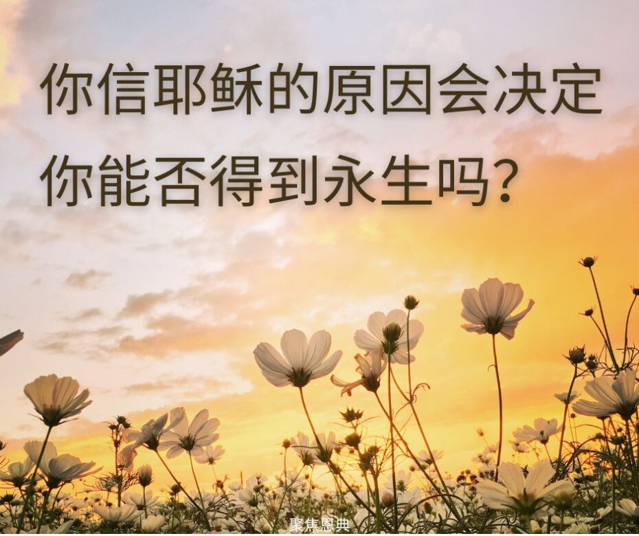 主耶稣不相信约2