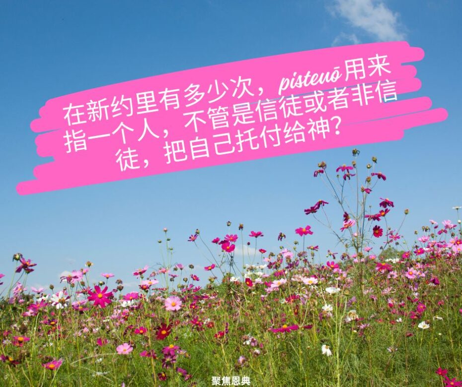 主耶稣不相信约2.2