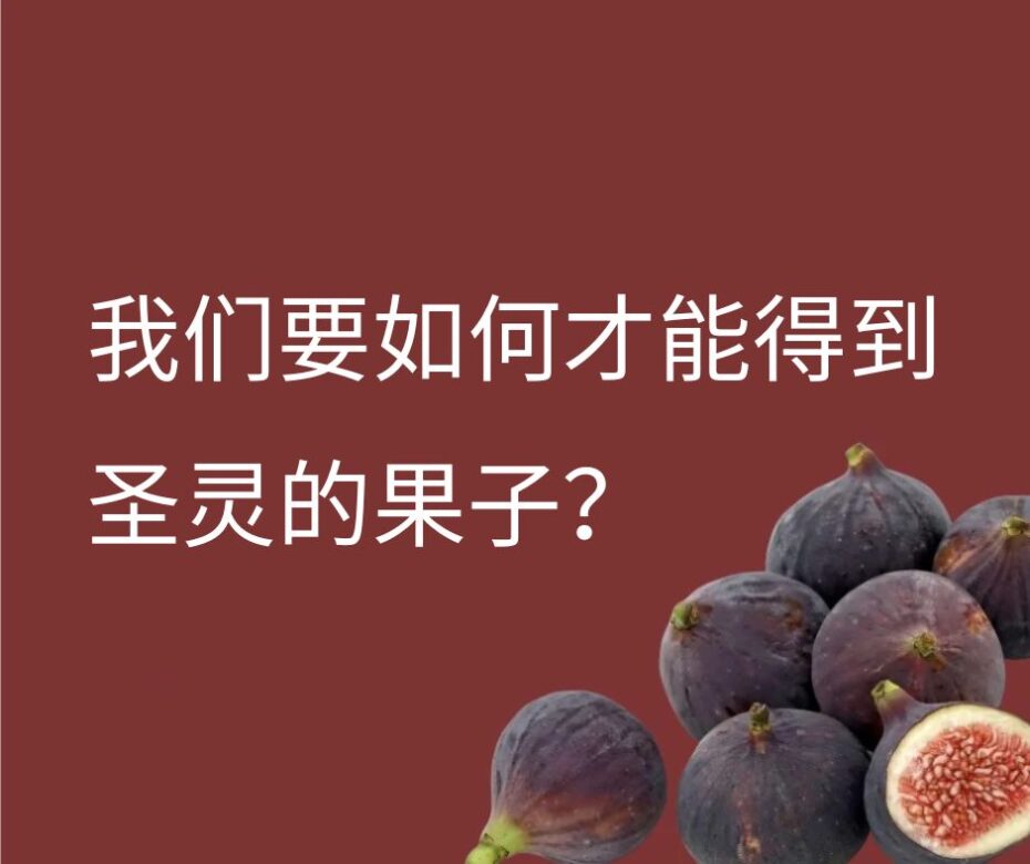 什么是圣灵的果子