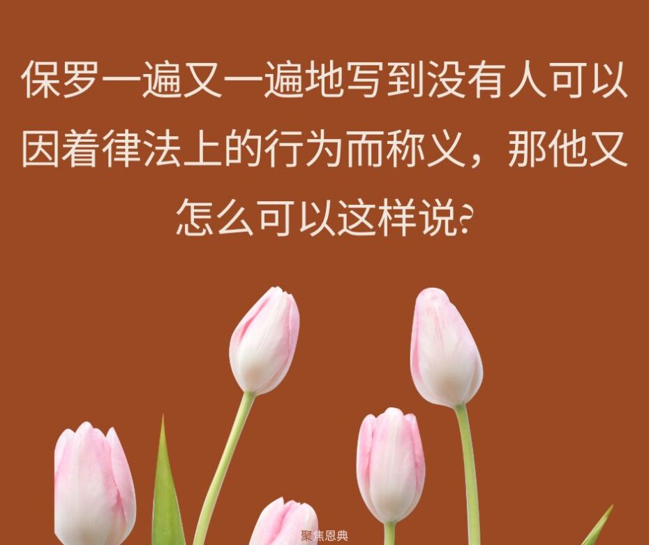 保罗在信基督之前真的无可指责吗