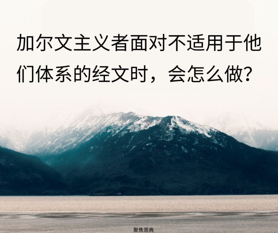 加尔文主义的奥秘经文盒22