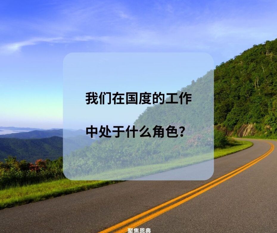 我们在国度的工作中处于什么角色？