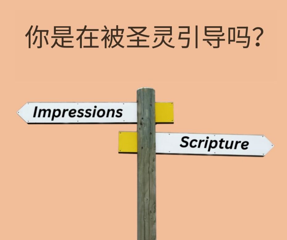 所有的基督徒都被圣灵引导吗