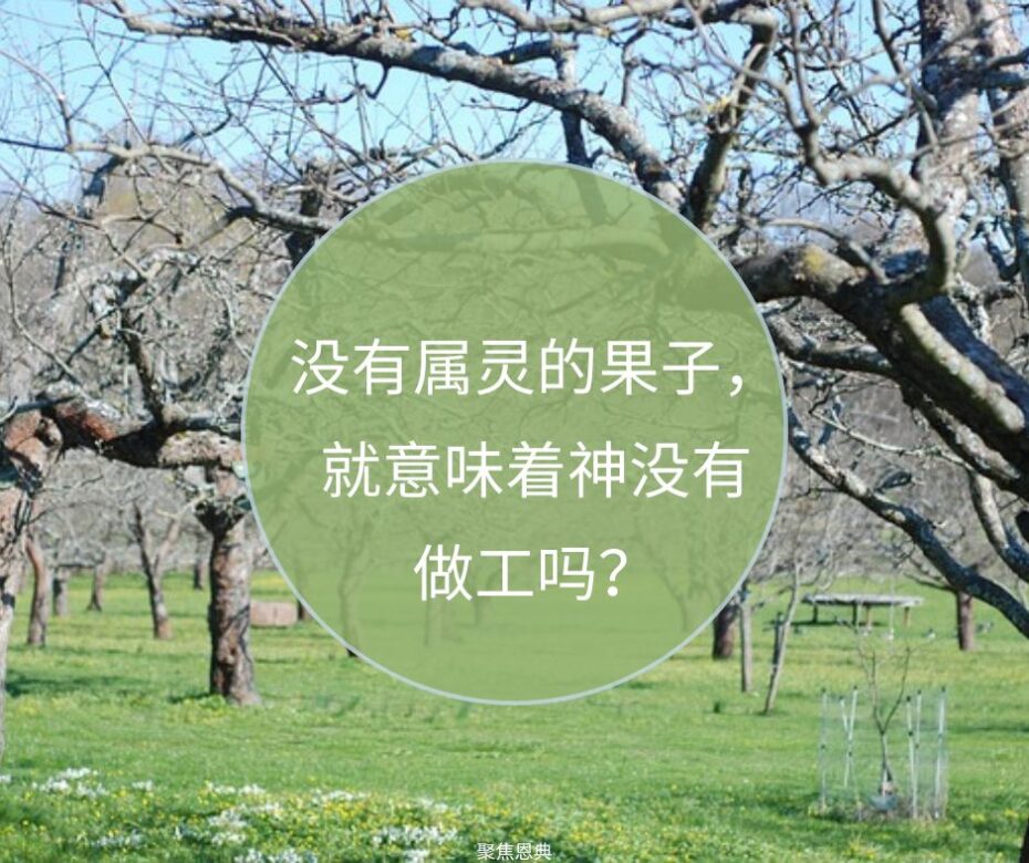 无根，无果，无神