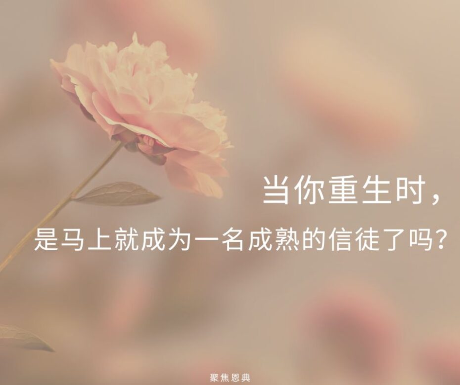 林后5 17是什么意思？