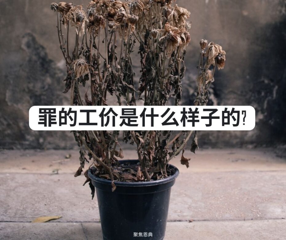 罪的工价是什么样子的?